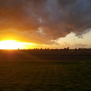 Fantastic Philanthropists!